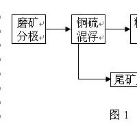 巩义铂思特低品位硫化铜矿选铜技术，硫化铜精矿湿法冶金工艺